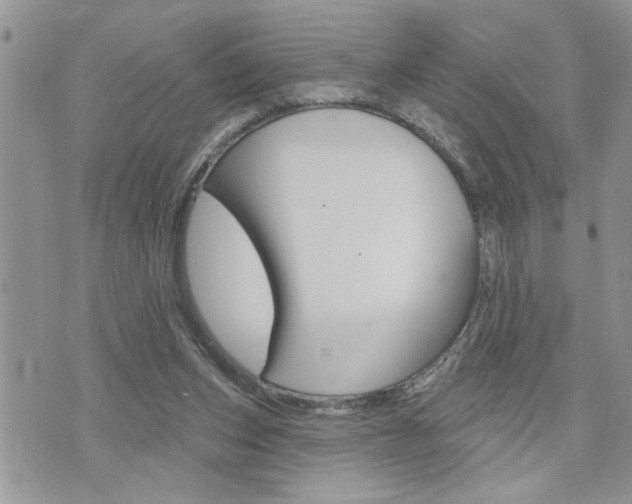 X0000076300159200609290738