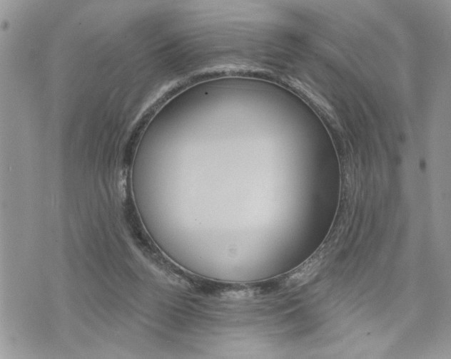 X0000076300160200609290738