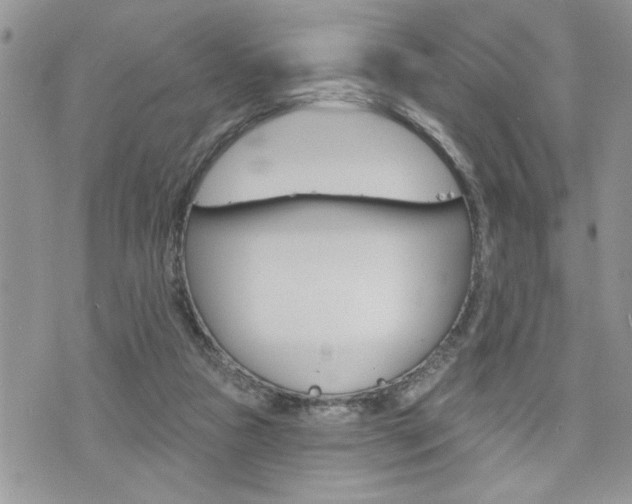 X0000076300161200609290738