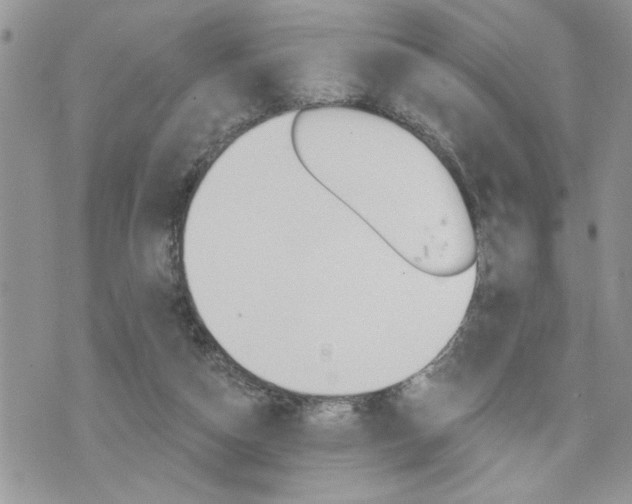 X0000076300162200609290738