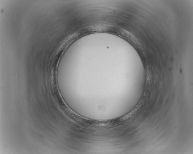 X0000076300163200609290738