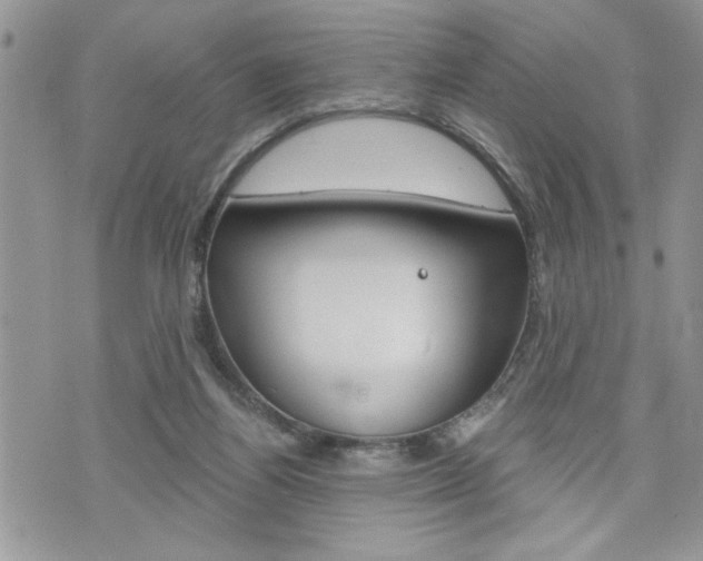 X0000076300164200609290738