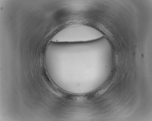 X0000076300165200609290738