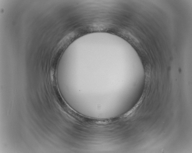 X0000076300166200609290738