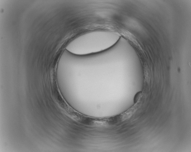 X0000076300167200609290738