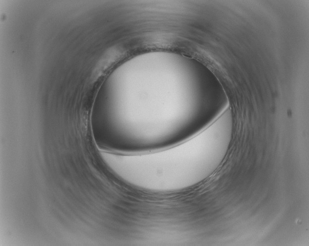 X0000076300168200609290738