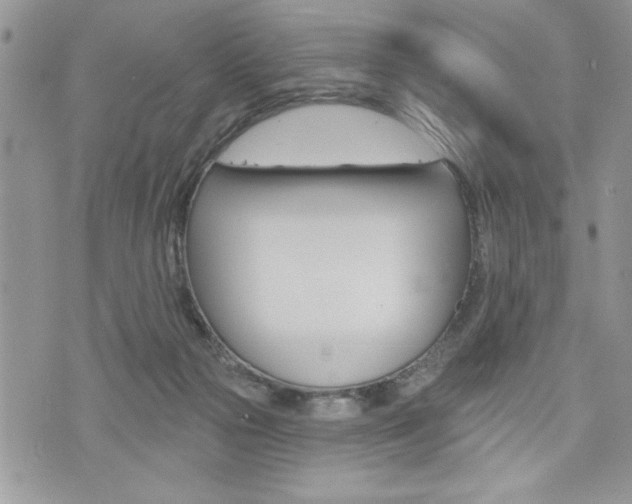 X0000076300169200609290738