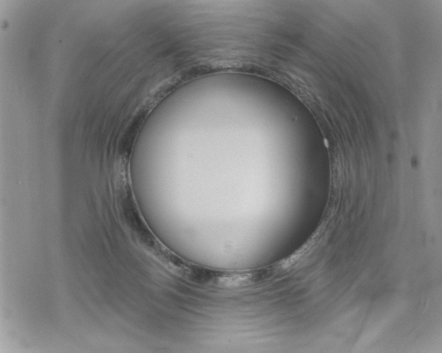 X0000076300172200609290738