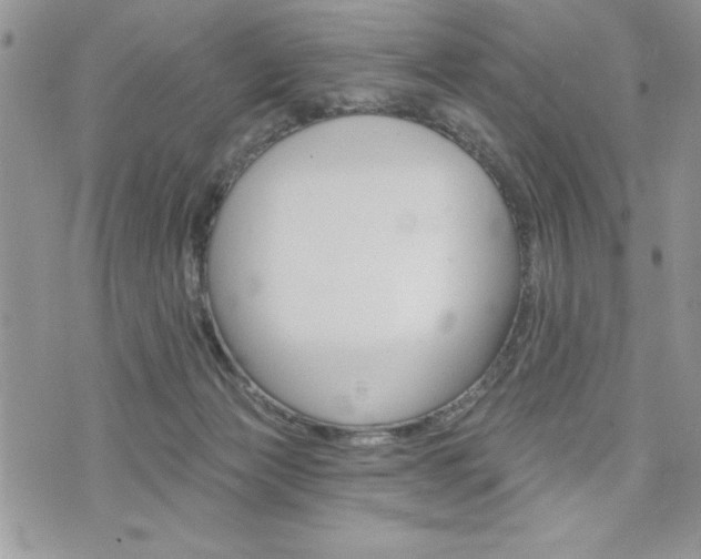 X0000076300173200609290738