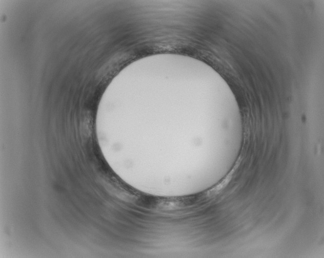 X0000076300174200609290738