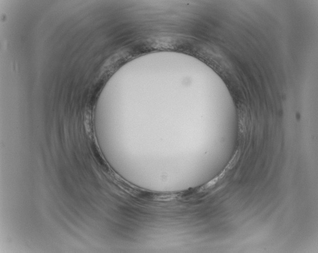 X0000076300175200609290738