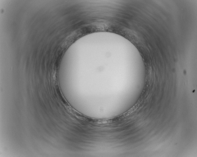 X0000076300177200609290738