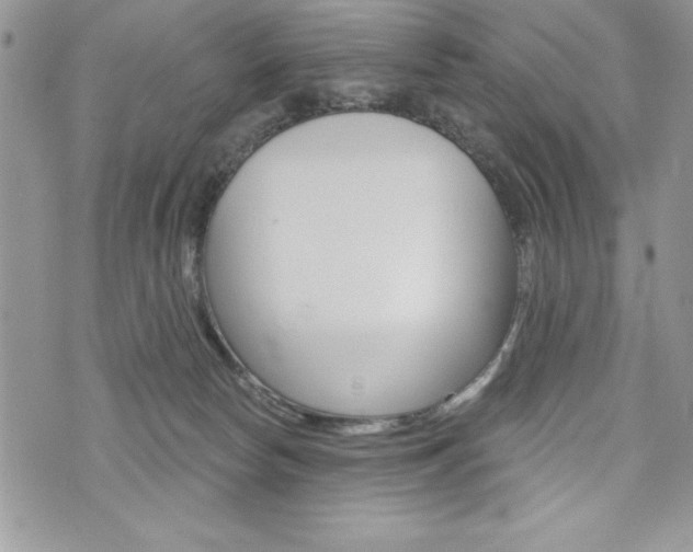 X0000076300178200609290738