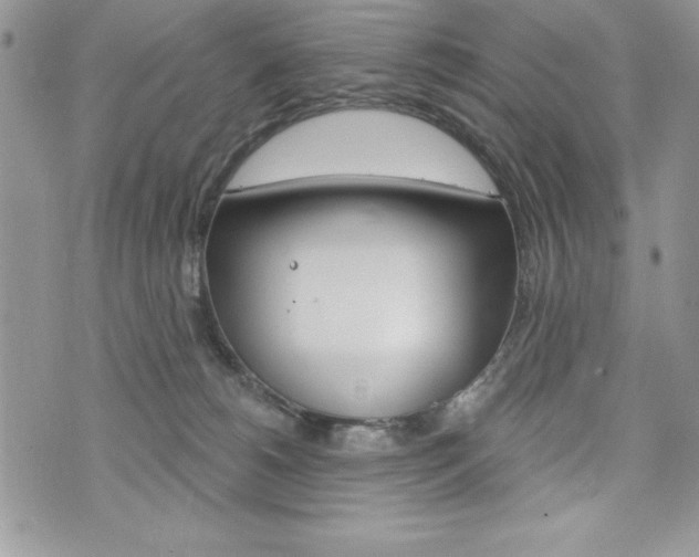 X0000076300180200609290738