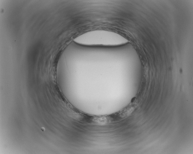 X0000076300181200609290738