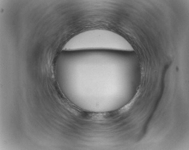 X0000076300182200609290738