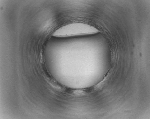 X0000076300183200609290738