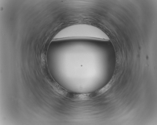 X0000076300184200609290738