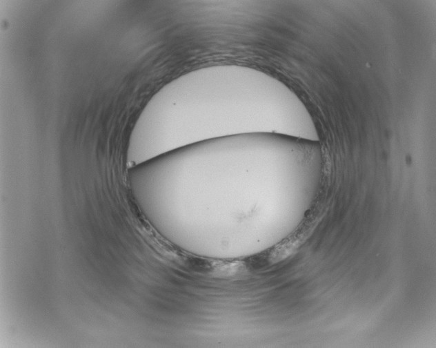 X0000076300185200609290738