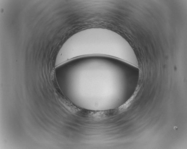 X0000076300186200609290738