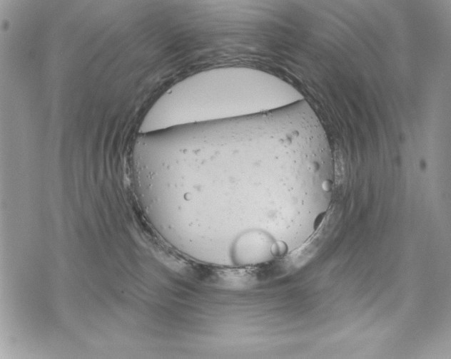 X0000076300187200609290738