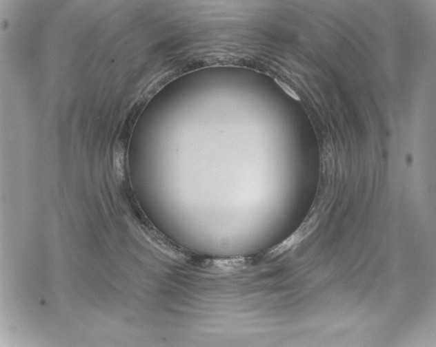 X0000076300188200609290738