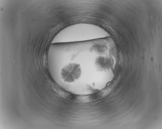 X0000076300189200609290738