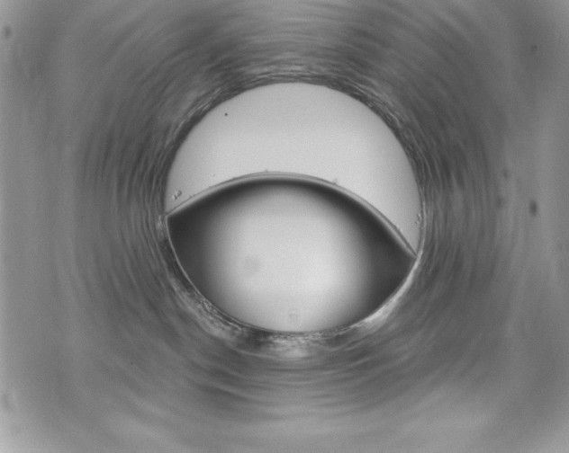 X0000076300190200609290738