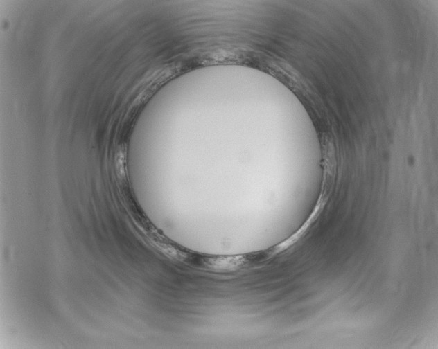 X0000076300191200609290738