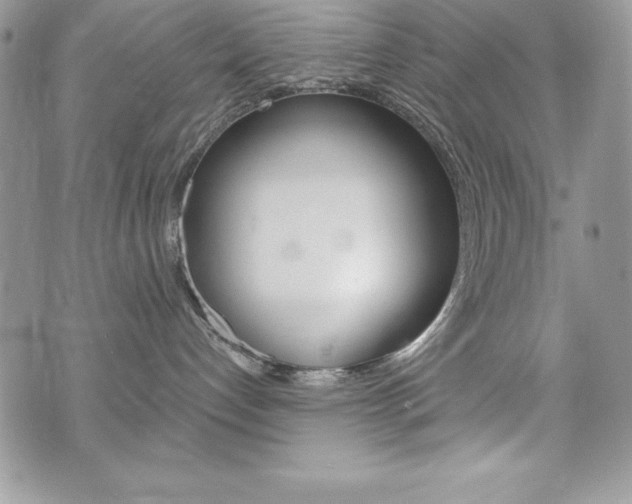 X0000076300192200609290738