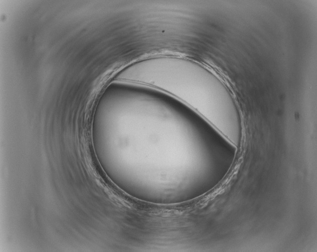 X0000076300193200609290737