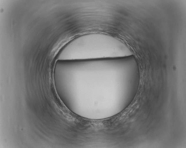 X0000076300194200609290737