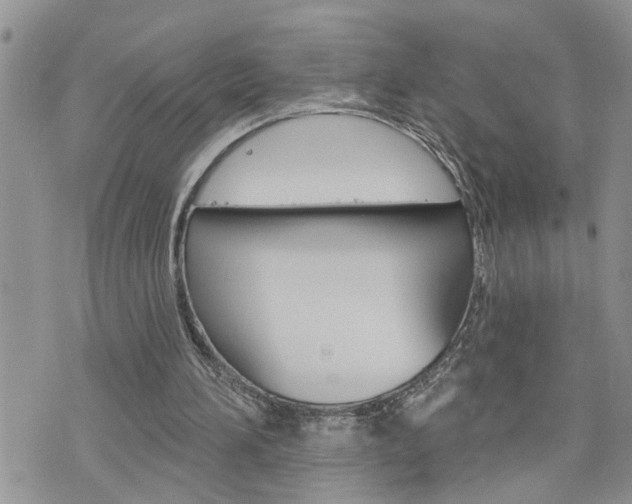 X0000076300196200609290737