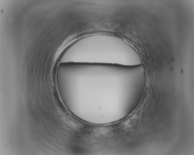 X0000076300198200609290737