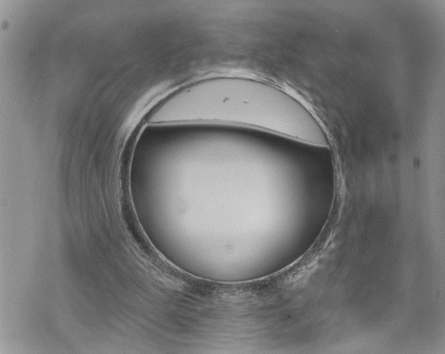 X0000076300199200609290737