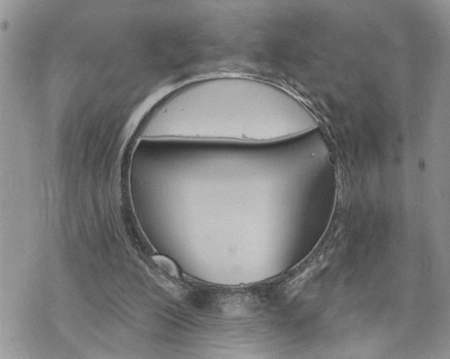 X0000076300200200609290737