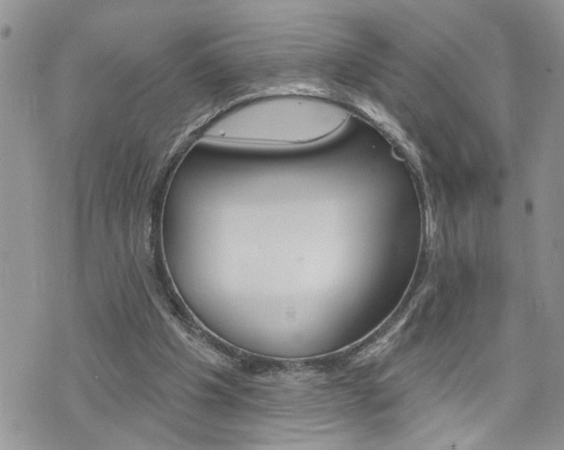 X0000076300201200609290737