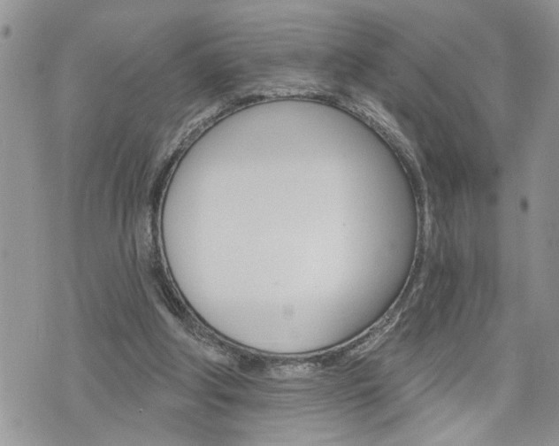 X0000076300202200609290737