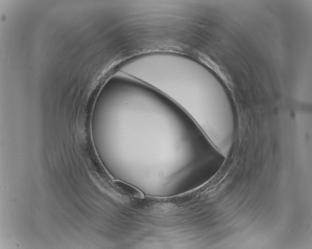 X0000076300203200609290737