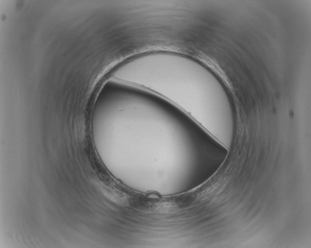 X0000076300204200609290737