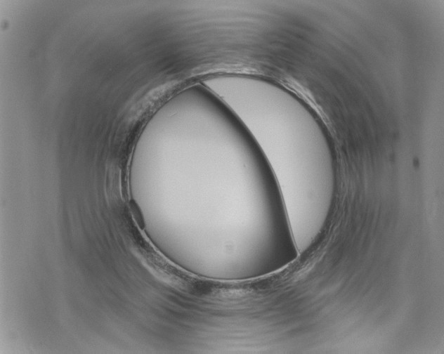 X0000076300205200609290737