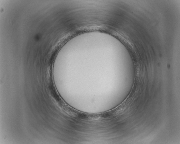 X0000076300206200609290737