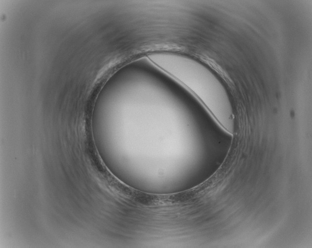 X0000076300207200609290737