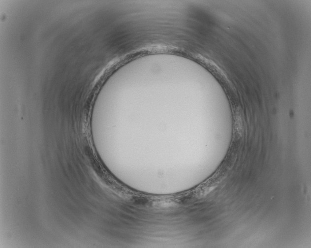 X0000076300208200609290737