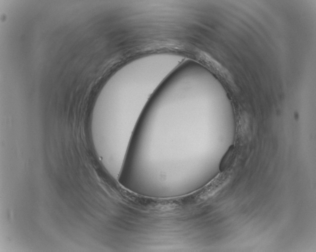 X0000076300209200609290737