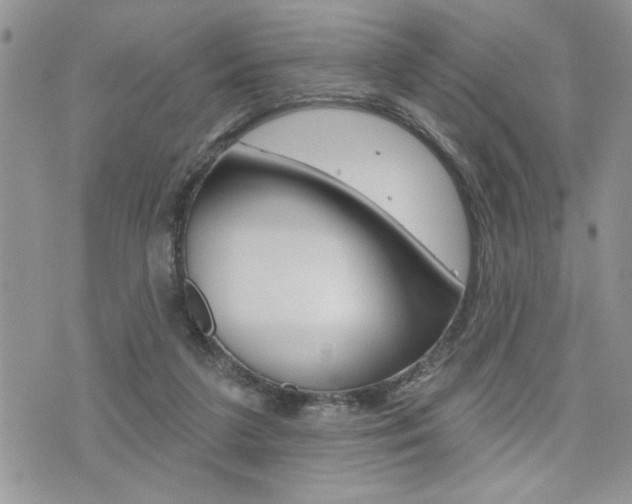 X0000076300211200609290737