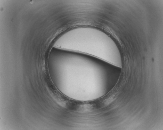 X0000076300212200609290737