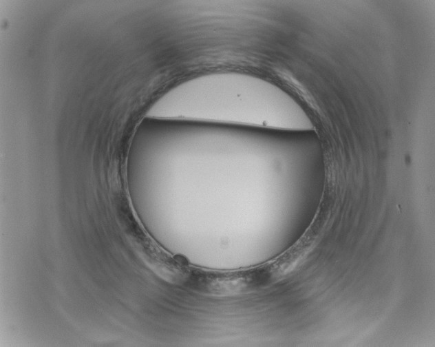 X0000076300213200609290737