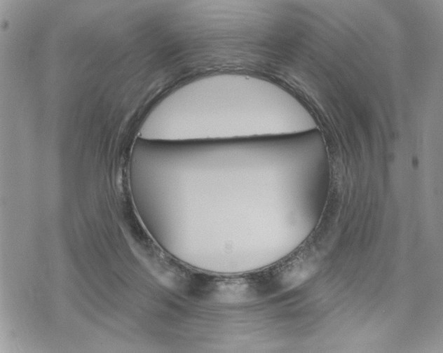 X0000076300214200609290737