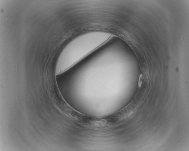 X0000076300215200609290737